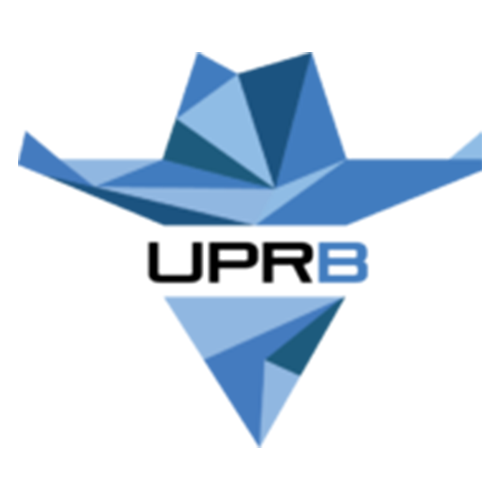 Logo Universidad de Puerto Rico – Recinto de Bayamón